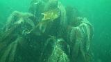 2009-09-23 11-53-05 16L